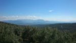 DSC_0588.jpg