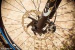 large_NicoLauBikecheck-9.jpg