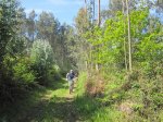 IMG_0376.JPG