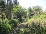 IMG_0433.JPG