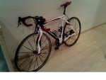 5 bici.jpg