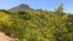 Montseny.jpg
