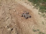 20130504_120440.jpg