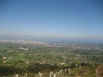 IMG_3319.JPG