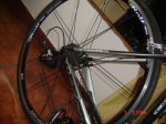 DSC03514.JPG