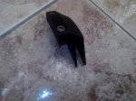 IMG_20130508_094833.jpg