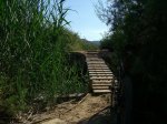 Pasarela.JPG