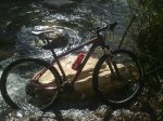 wilier.jpg