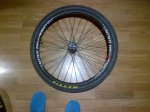 IMG-20130429-00043.jpg