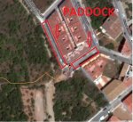 PADDOCK.jpg