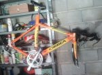Bici CRI4.jpg