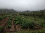IMG-20130427-WA003.jpg