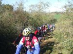 DSCF1453.jpg