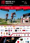 cartel-villena.jpg