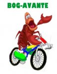 BOGABANTE CICLISTA 4.jpg