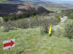 20130504_145734.jpg