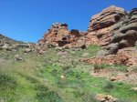 20130504_122946.jpg