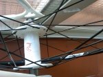IMG00045-20090505-1848.jpg