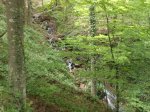 DSC04066.JPG