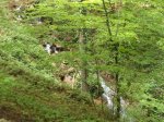 DSC04067.JPG