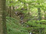 DSC04068.JPG