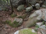 DSC04089.JPG