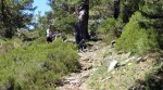 IMG_0176-Poyal de Majalaosa.jpg