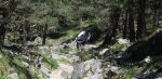 IMG_0195-Senda Arcipreste.jpg