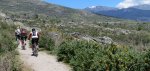 IMG_0222.jpg