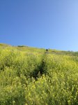 IMG_4582.jpg