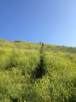IMG_4584.jpg