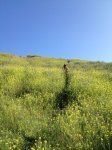 IMG_4577.jpg