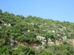 IMG_1674.JPG