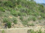 IMG_1695.JPG