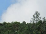 IMG_1710.JPG
