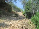 IMG_1756.JPG