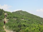 IMG_1769.JPG