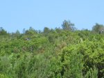 IMG_1784.JPG