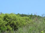IMG_1785.JPG