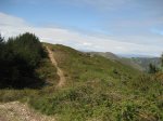 IMG_3362.JPG