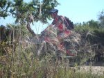 DSC00077.JPG