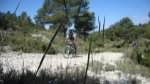 DSC00083.JPG