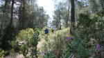 DSC00104.JPG