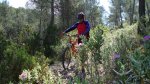 DSC00106.JPG