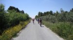 DSC00110.JPG