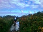 DSC_0097.JPG