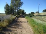 DSC01154.jpg