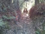IMG_20130512_114013_small.jpg