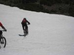 IMG_1559.jpg