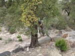 1er Enduro de la Selva 010.JPG